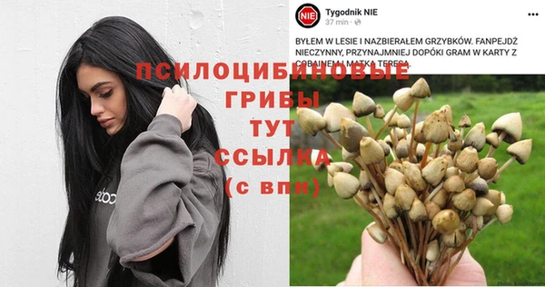Альфа ПВП Абаза